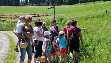 Gruppe bei Führung, Kräuter | © Gudrun Plank