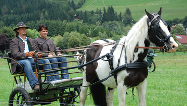 Kutsche, Pferd, 2 Personen | © Naturpark Zirbitzkogel-Grebenzen