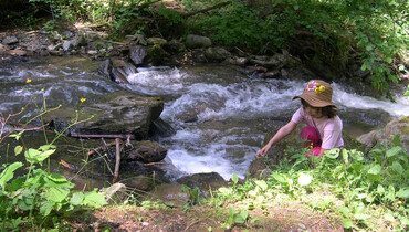 TVB Naturpark Zirbitzkogel-Grebenzen