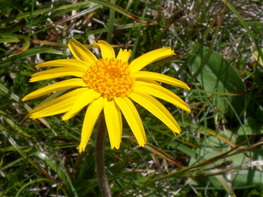 TVB Naturpark Zirbitzkogel-Grebenzen