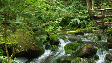 TVB Naturpark Zirbitzkogel-Grebenzen